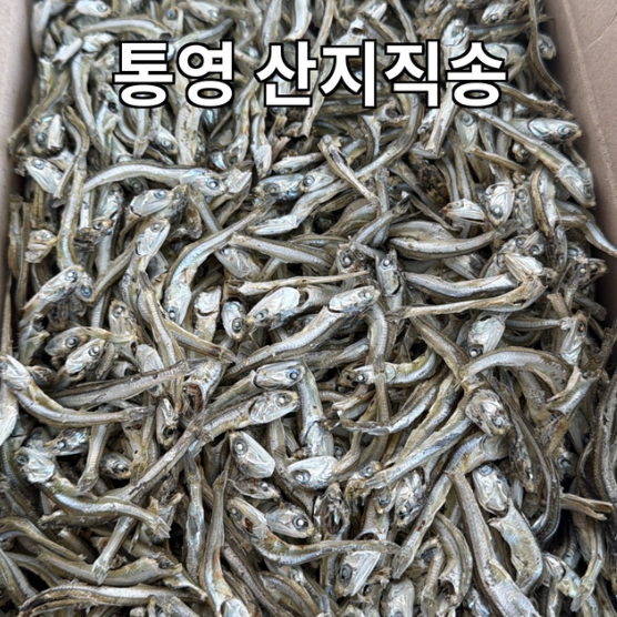 통영 햇 고바멸치 1.5kg. 햇멸치. 안주용멸치 고추장멸치